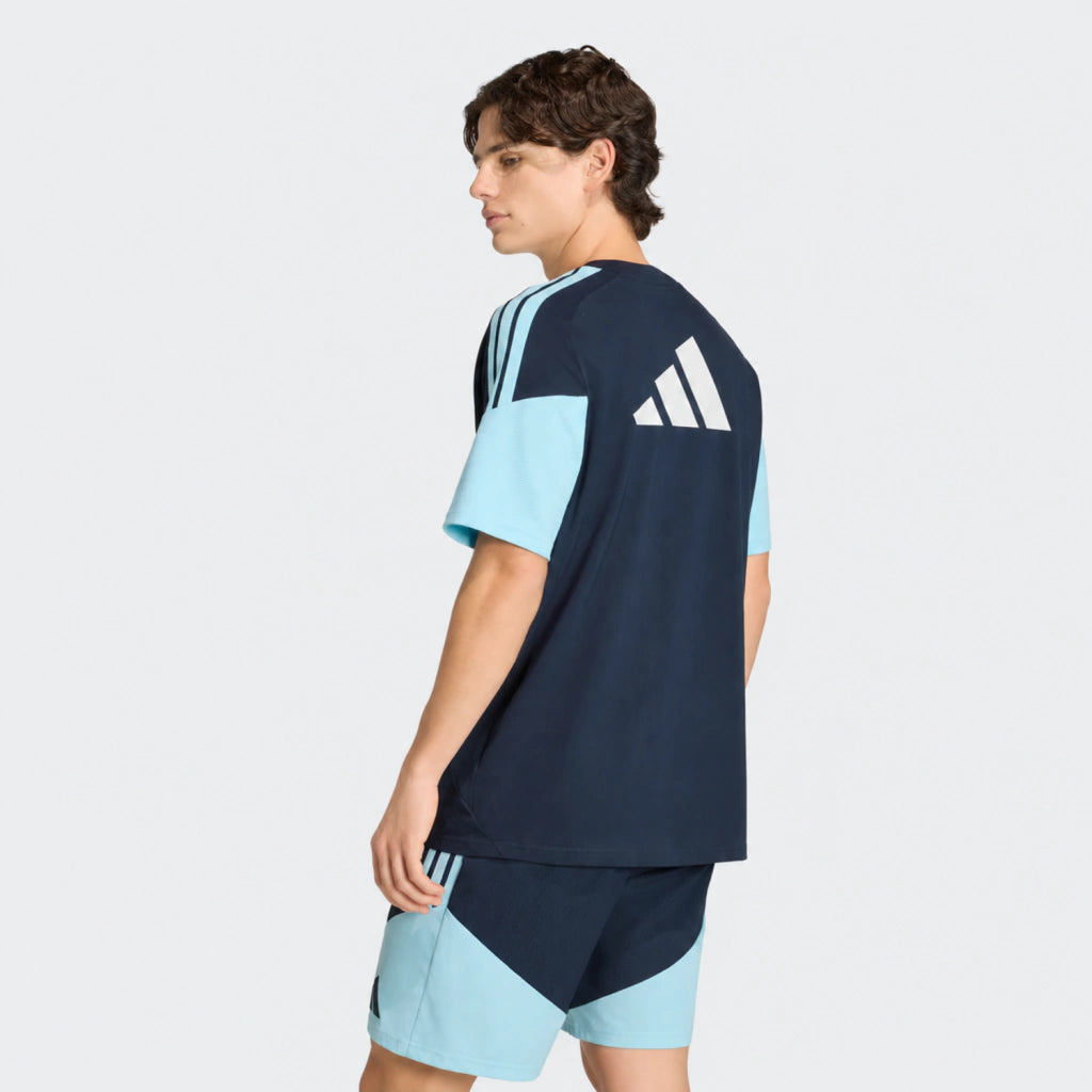 Remera Adidas Entrenamiento Selección Argentina 26'